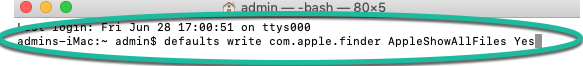 terminal