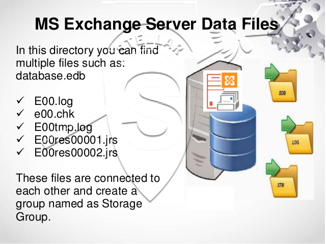 Exchange database files and components
