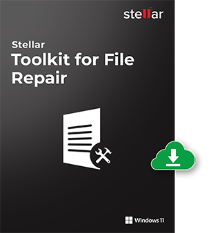 File Repair Toolkit box