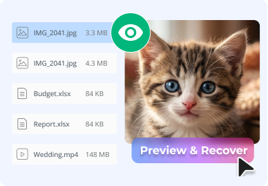 Preview & Recover