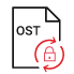 Import Encrypted OST Files into Outlook 
