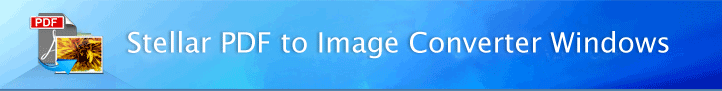 PDF to Image Converter