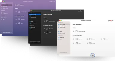 Stellar Data Recovery Software Interface