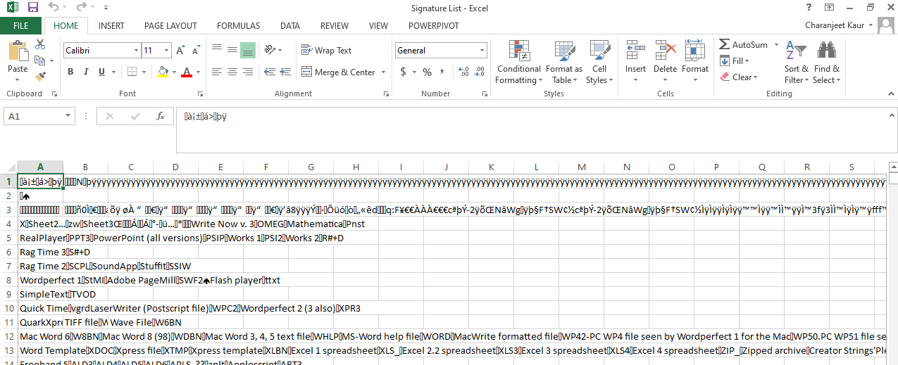 excel file with garbage entries