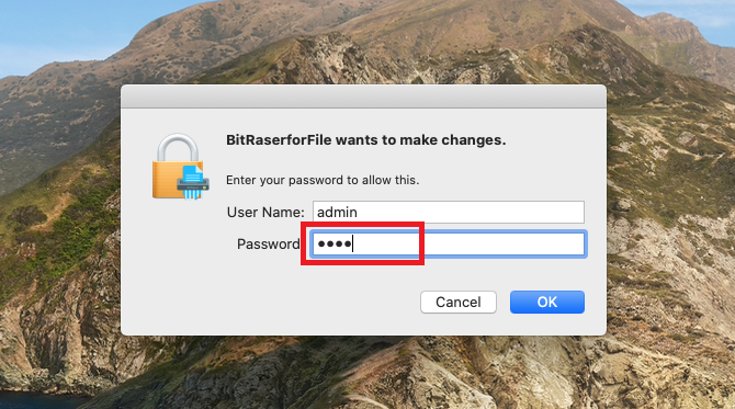 BitRaser for File