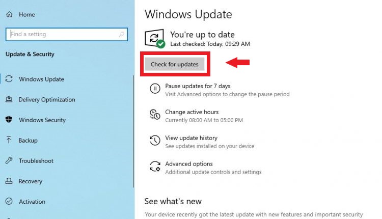 Check for Windows Update