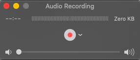 Record Audio