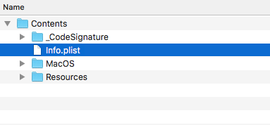 Info Plist