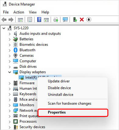 open display adapter driver properties