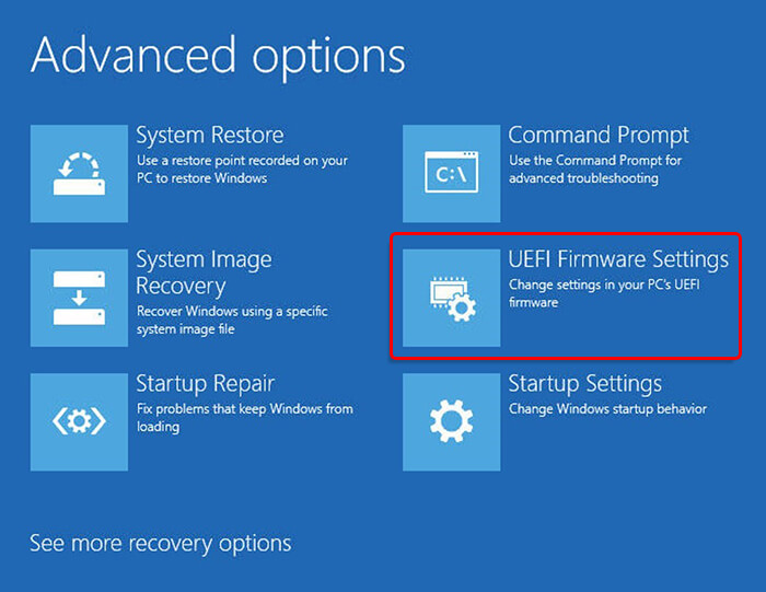 select UEFI firmware from advanced options