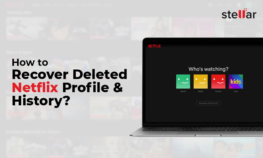 recover deleted Netflix profile and history