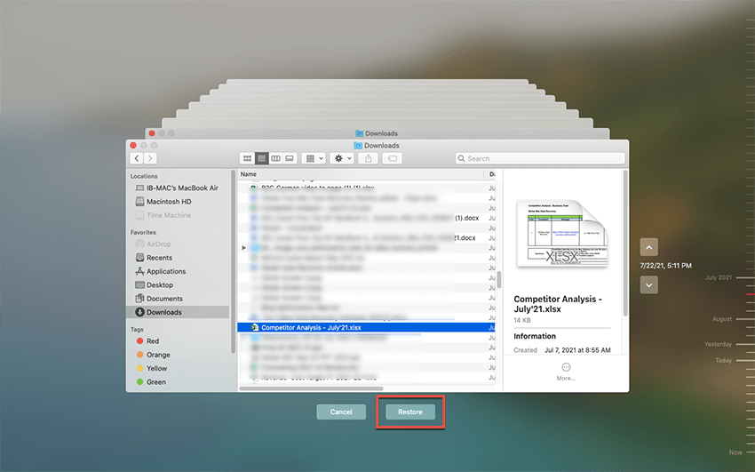 Time Machine Restore Excel File