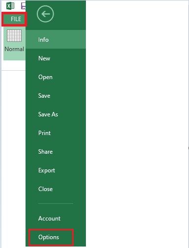 Excel options