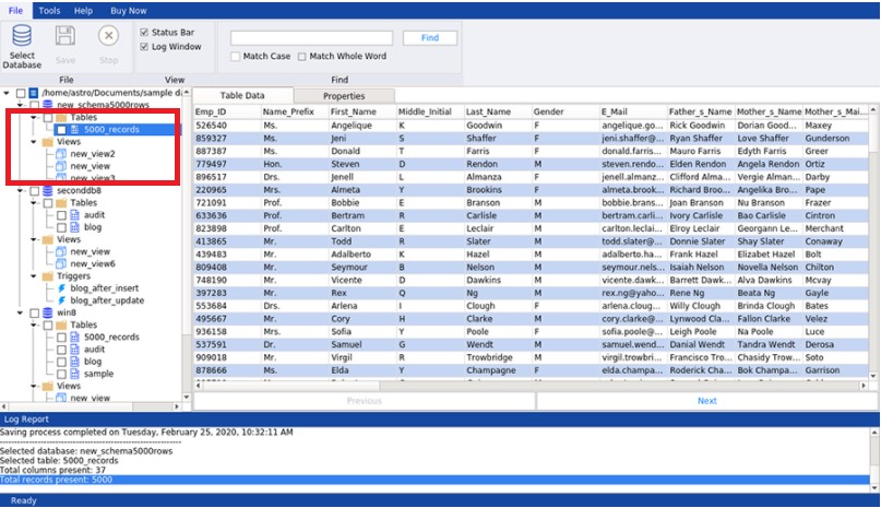 Recoverable database objects preview