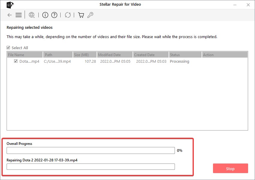 Stellar Repair For Video