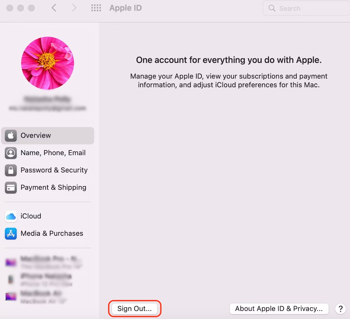 macbook pro can't sign out of icloud