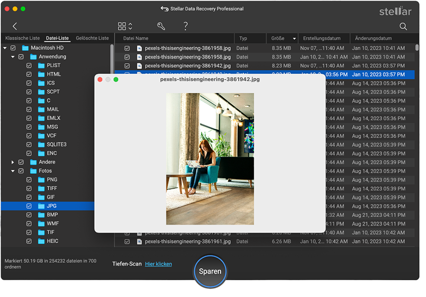 Stellar Data Recovery > Vorschau