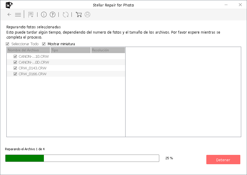 Stellar Repair for Photo- Repair