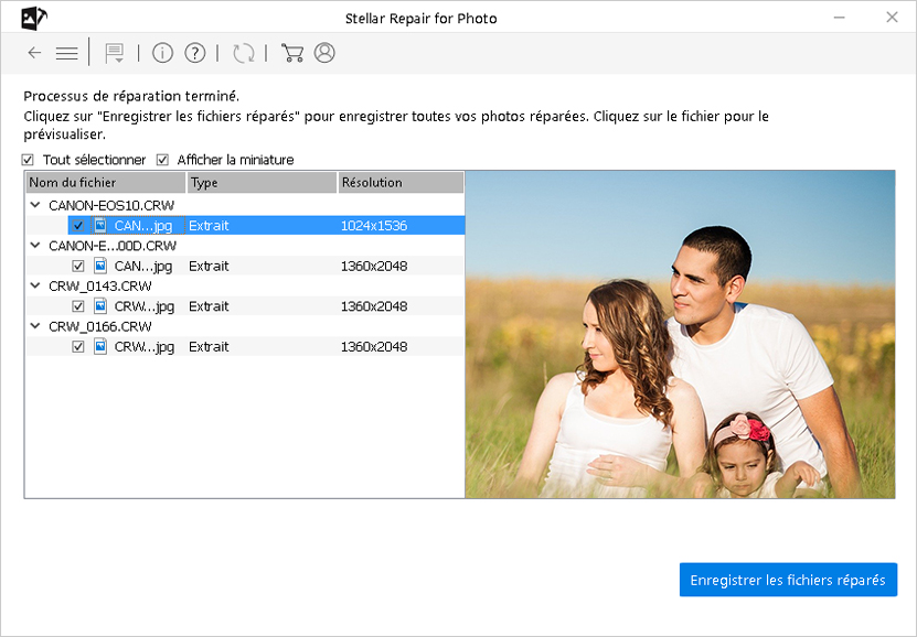 Figure : Prévisualisez les images réparées