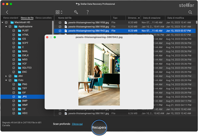 Stellar Data Recovery Professional > Anteprima