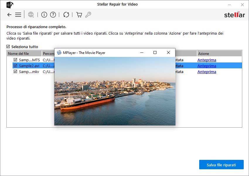 Stellar Repair for Video- Il file video non può essere riprodotto
