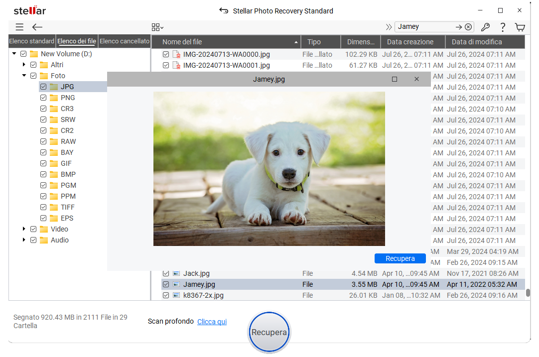 Anteprima delle foto recuperate nel software Stellar Photo Recovery