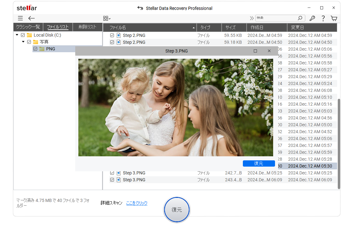 Stellar Data Recovery Professional - ファイルをクリックするとプレビューが表示されます。