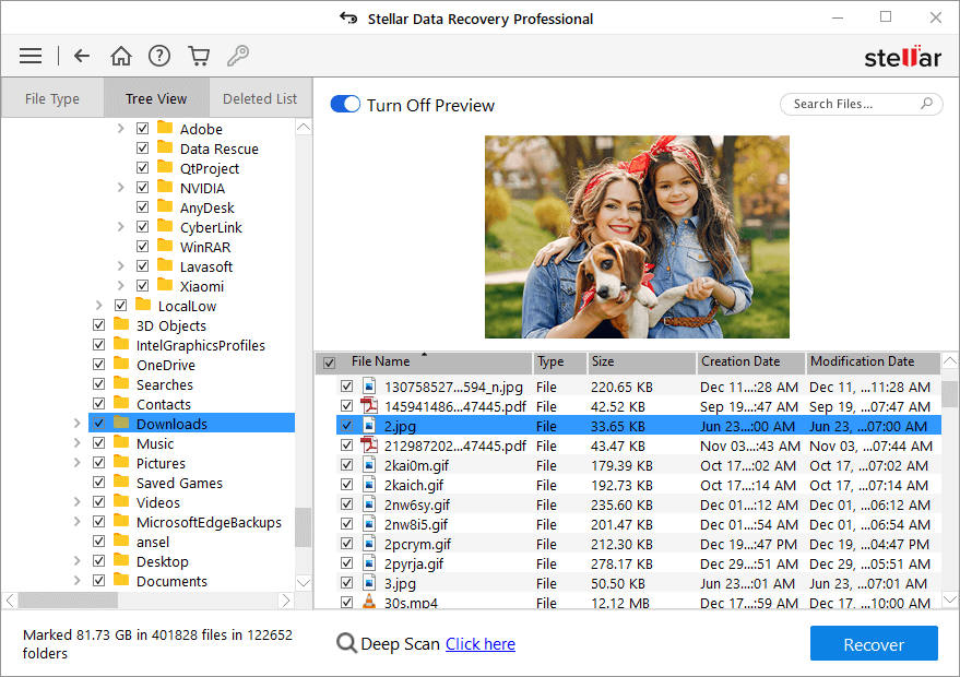 Preview Files to recover