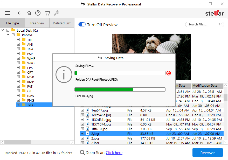 https://www.stellarinfo.com/public/image/catalog/screenshot/kb/data-recovery-professional/pro-dtepsix.png