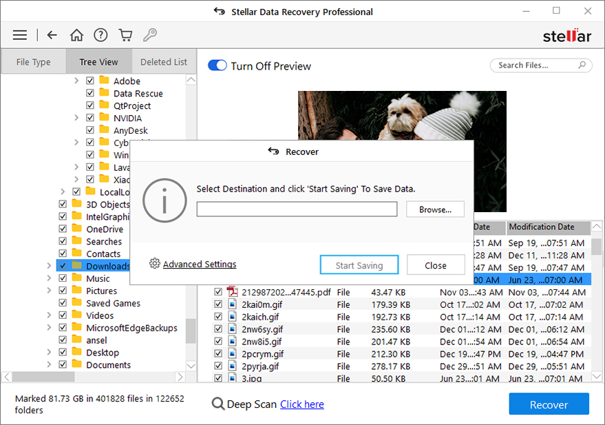 https://www.stellarinfo.com/public/image/catalog/screenshot/kb/data-recovery-professional/pro-stepfive.png