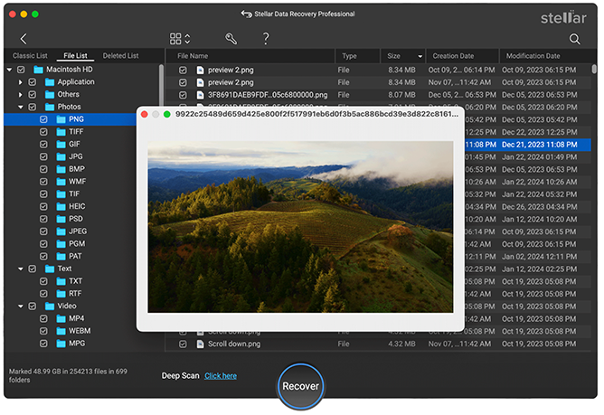 Stellar Data Recovery Professional for Mac > Preview