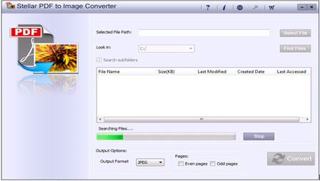 Stellar PDF to Image Converter