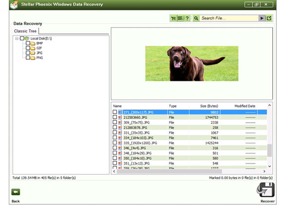 Windows Data Recovery